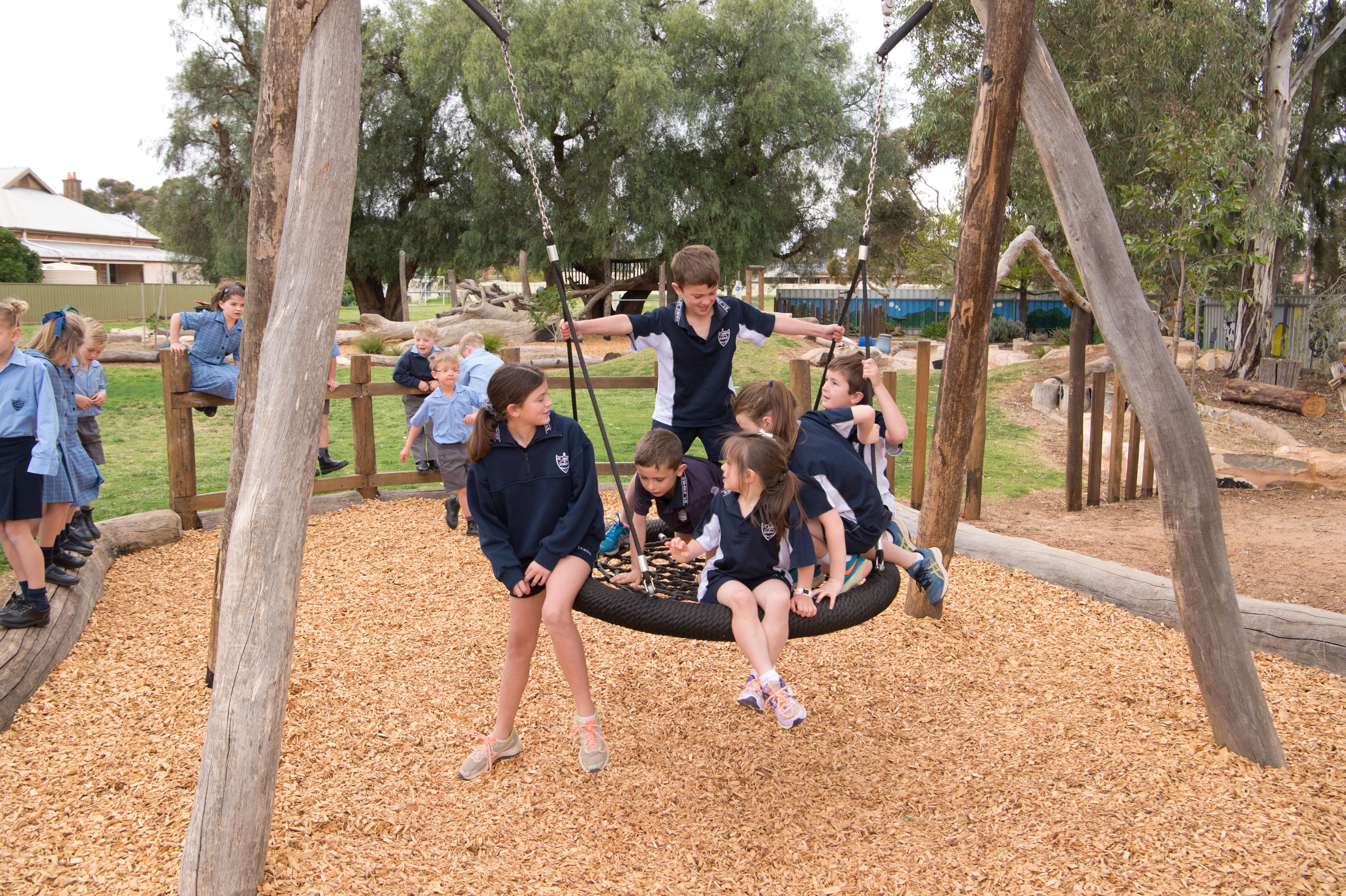 Kids on swing